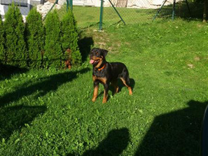 Cara beim Ballspielen