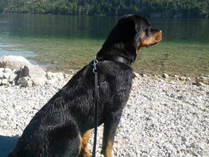 Cara beim schwimmen