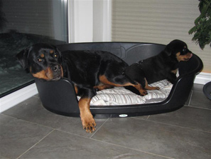 Cara und Ares