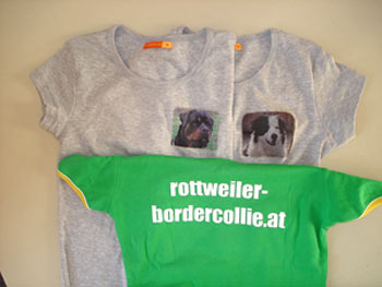 Rottweiler - Rottweiler -