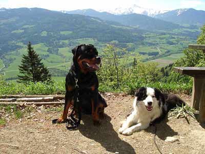 Rottweiler - Unser erster gemeinsamer Wandertag Rottweiler - Unser erster gemeinsamer Wandertag