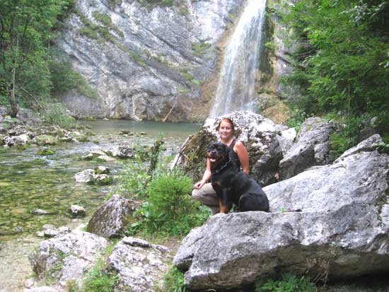 Rottweiler - Wasserfall