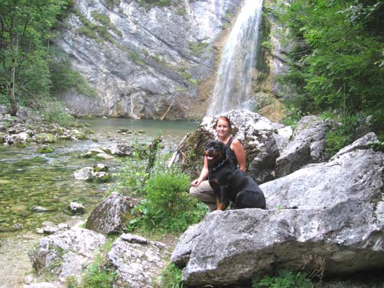 Rottweiler - Wasserfall Rottweiler - Wasserfall