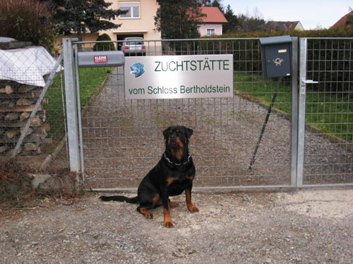 Rottweiler - Zu Besuch bei der Zuchtstätte Schloss Bertholdstein! Rottweiler - Zu Besuch bei der Zuchtstätte Schloss Bertholdstein!