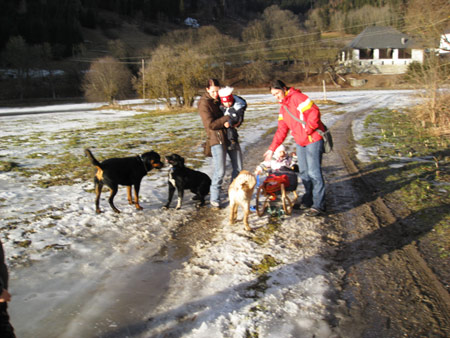 Rottweiler - Wieder unterwegs! Rottweiler - Wieder unterwegs!