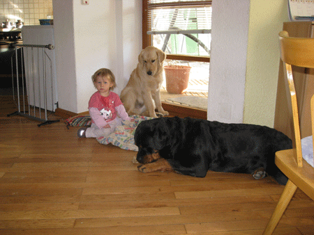 Rottweiler - Alina und die Wauzis! Rottweiler - Alina und die Wauzis!