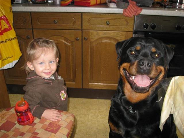 Rottweiler - Alina und Ares! Rottweiler - Alina und Ares!