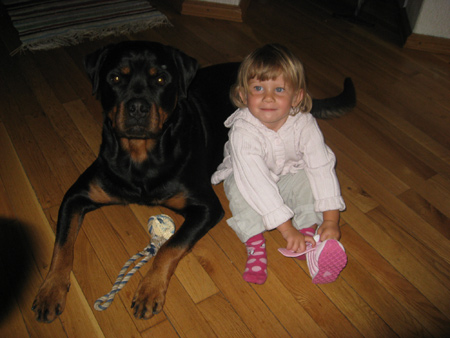Rottweiler - Alina und Ares