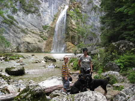 Rottweiler - Wasserfall
