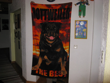 Rottweiler - Urlaubmitbringsl! Rottweiler - Urlaubmitbringsl!
