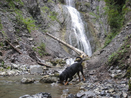 Rottweiler - Wasserfall in Lessern