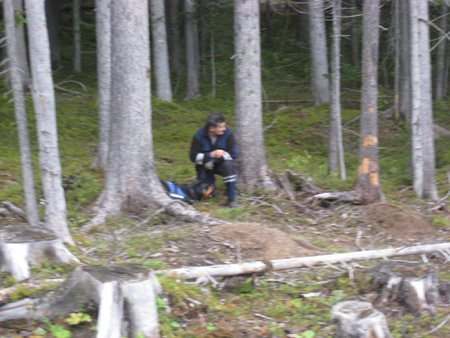Rottweiler - Such und Lawinwnhunde Dachstein!