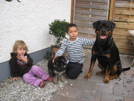 Rottweiler - Flash und seine Familie!