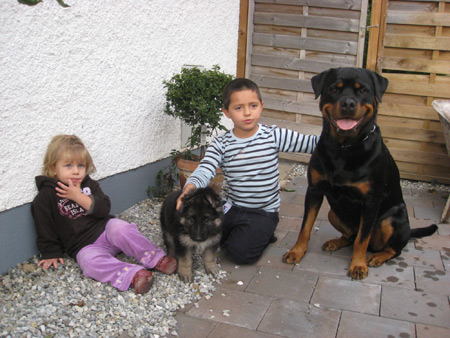 Rottweiler - Flash und seine Familie! Rottweiler - Flash und seine Familie!
