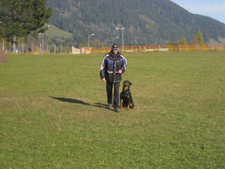 Rottweiler - Hundeschule Abschluss! Rottweiler - Hundeschule Abschluss!