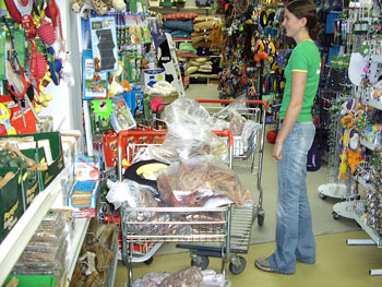 Rottweiler - Shoppingtour ! Rottweiler - Shoppingtour !