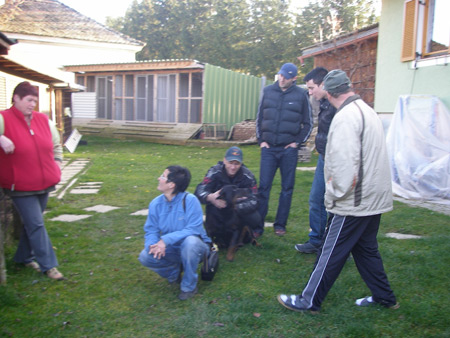 Rottweiler - Besuch bei den Rottis vom Zirbenland! Rottweiler - Besuch bei den Rottis vom Zirbenland!