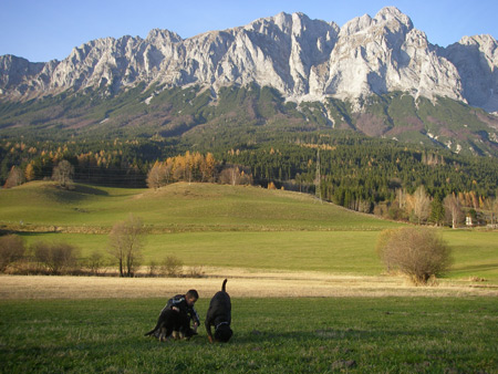 Rottweiler - Spaziergang mit dem ganzen Rudel! Rottweiler - Spaziergang mit dem ganzen Rudel!