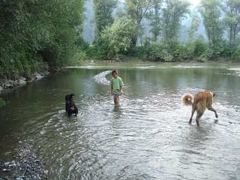 Rottweiler - Lucky und Ares Rottweiler - Lucky und Ares