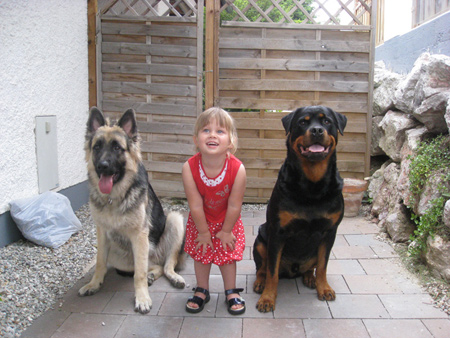 Rottweiler - Flash, Alina und Ares