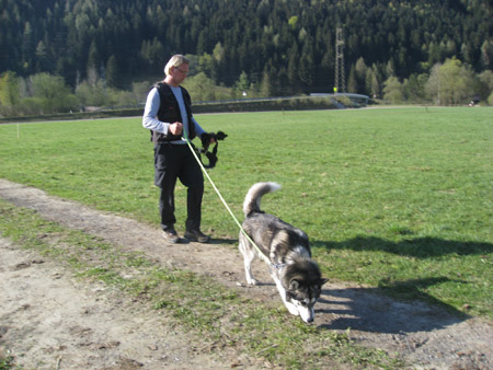 Rottweiler - Seppi alles Gute zum Geburtstag!