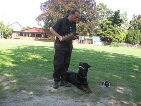 Rottweiler - Seminar mit Dirk Bäcker! Rottweiler - Seminar mit Dirk Bäcker!