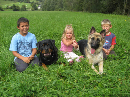 Rottweiler - Spaziergang mit den Kids! Rottweiler - Spaziergang mit den Kids!