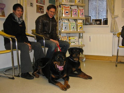 Rottweiler - Ares und Fenja beim Tierarzt