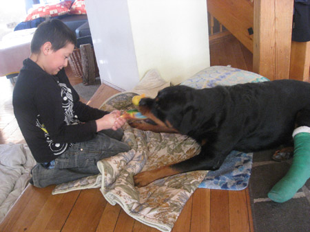 Rottweiler - Krankenbesuch für Ares