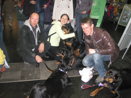 Rottweiler - IHA Graz Rottweiler - IHA Graz