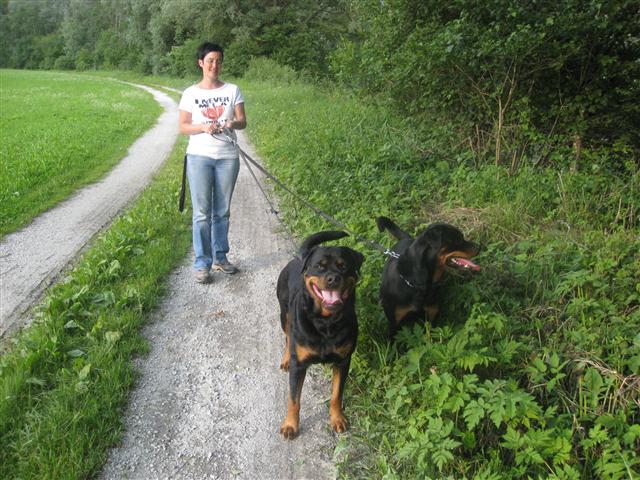 Rottweiler - Ein bischen Spass! Rottweiler - Ein bischen Spass!