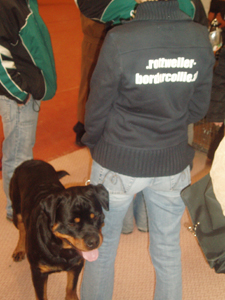 Rottweiler - IHA, die internationale Rassehundeschau in Graz - Steiermark Rottweiler - IHA, die internationale Rassehundeschau in Graz - Steiermark