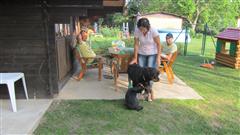 Rottweiler - Wiedermal zu Besuch bei Familie Lenz! Rottweiler - Wiedermal zu Besuch bei Familie Lenz!