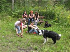 Rottweiler - Spaziergang mit den A Mädls und Kids! Rottweiler - Spaziergang mit den A Mädls und Kids!