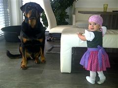Rottweiler - Ares und Hanna Rottweiler - Ares und Hanna