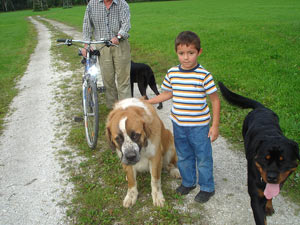 Rottweiler - Treffpunkt Enns! Rottweiler - Treffpunkt Enns!