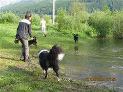 Rottweiler - Die Eddie´s mit Anhang! Rottweiler - Die Eddie´s mit Anhang!