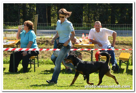 Rottweiler - Cara´s erste Ausstellung! Rottweiler - Cara´s erste Ausstellung!