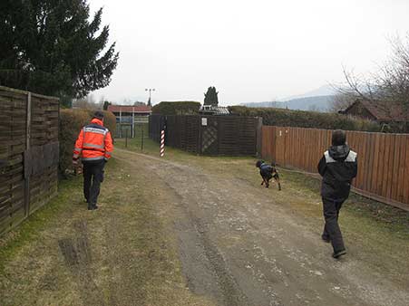 Rottweiler - Cara´s erstes Mantrailing Seminar! Rottweiler - Cara´s erstes Mantrailing Seminar!