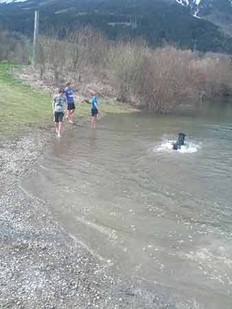 Rottweiler - Endlich wieder Schwimmen! Rottweiler - Endlich wieder Schwimmen!