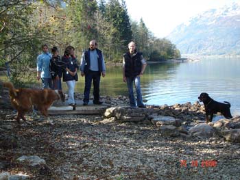 Rottweiler - Spaziergang am Grundlsee Rottweiler - Spaziergang am Grundlsee