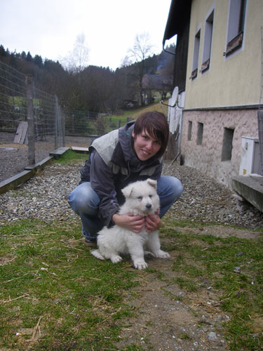 Rottweiler - Wieder zu Besuch bei Herbert! Rottweiler - Wieder zu Besuch bei Herbert!
