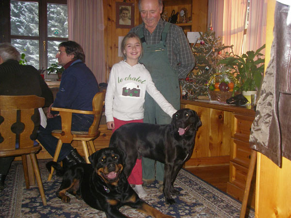 Rottweiler - Weihnachtsfeier! Rottweiler - Weihnachtsfeier!