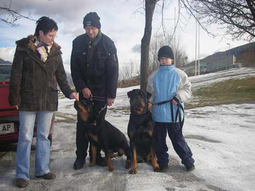 Rottweiler - Silvesterspaziergang Rottweiler - Silvesterspaziergang