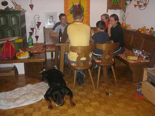 Rottweiler - Silvestereinladung Rottweiler - Silvestereinladung