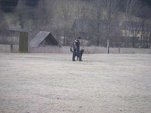 Rottweiler - Hundeplatz
